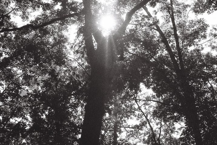 fallvibes-edited-2025.09.17-915075011151-R1-027