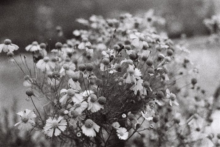 fallvibes-edited-2025.10.15-915075011151-R1-033