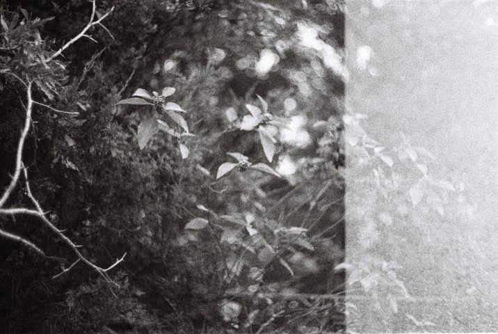 fallvibes-edited-2025.10.15-915075011151-R1-035