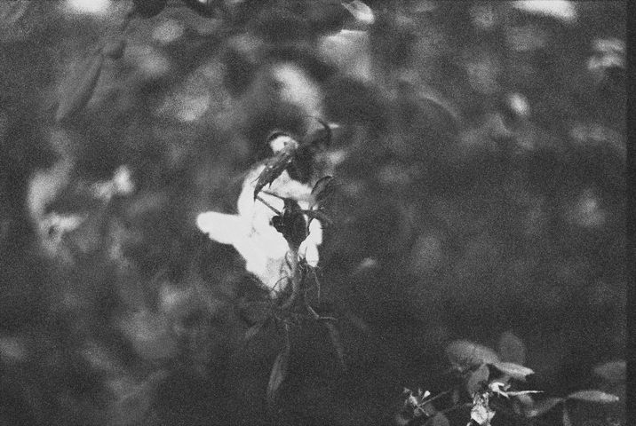 film-edited-2025.12.16-134958114580-R1-021