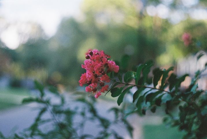 whatever-2025.09.18-652444010486-R1-009